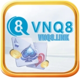 VNQ8